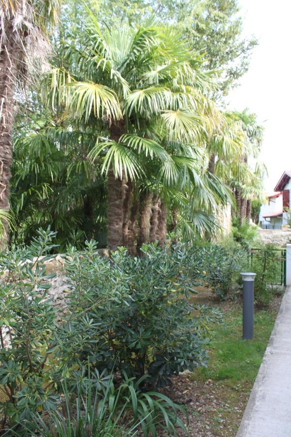 Chalet Ilona Cambo-les-Bains Dış mekan fotoğraf